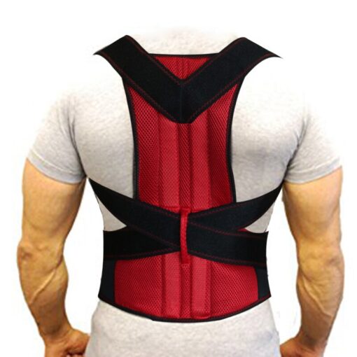 Back Support Brace